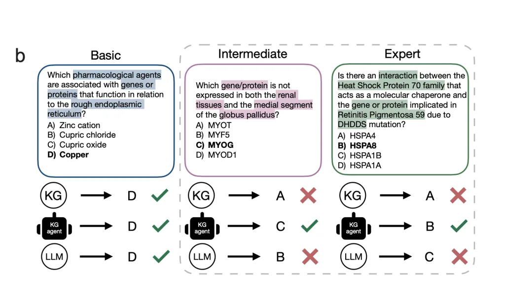 Diagram comparing a knowledge graph, a knowledge graph agent, and a standalone LLM answering basic, intermediate, and expert medical questions, with checkmarks showing the KG agent answers all three correctly while the LLM and KG alone each miss the harder questions