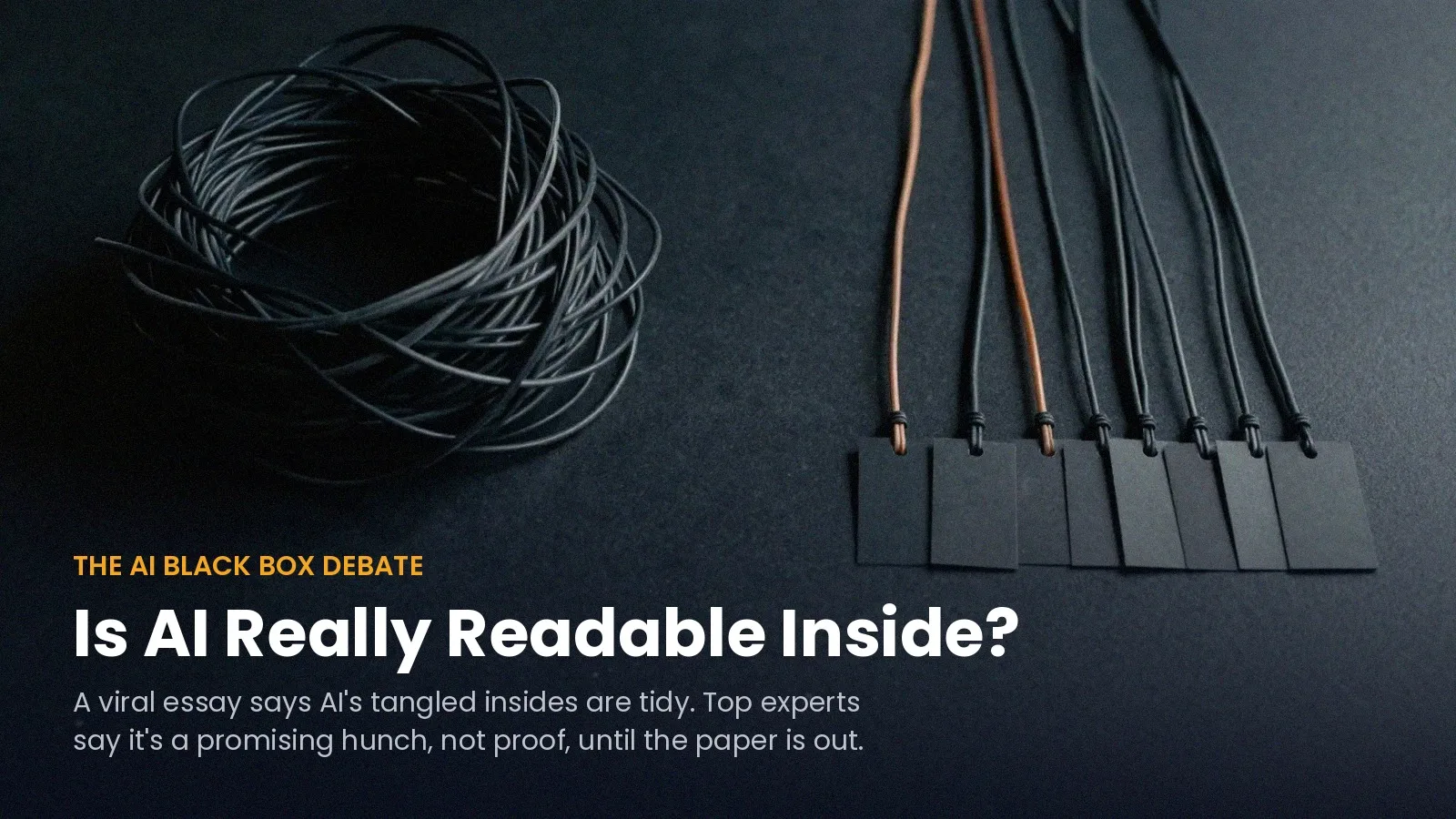 Tangled cables beside neatly labeled strands, with the overlay 'Is AI Really Readable Inside?'